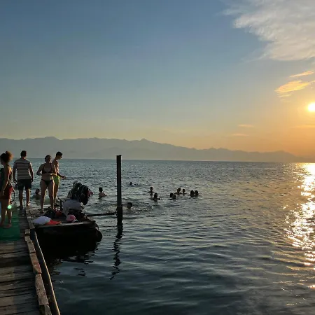 Shkodra 3* Grilë