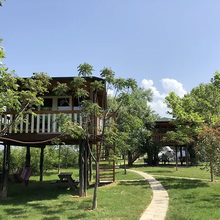 Shkodra 3* Grilë