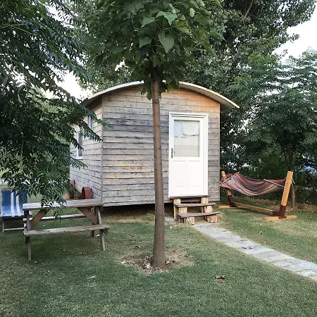 Shkodra Grilë