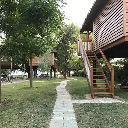Shkodra 3* Grilë